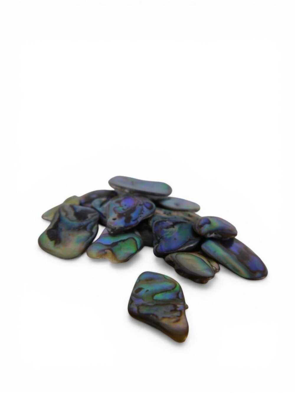 Paua Abalone Shell Chips New Zealand Jewelry Inlay Craft Lot Iridescent